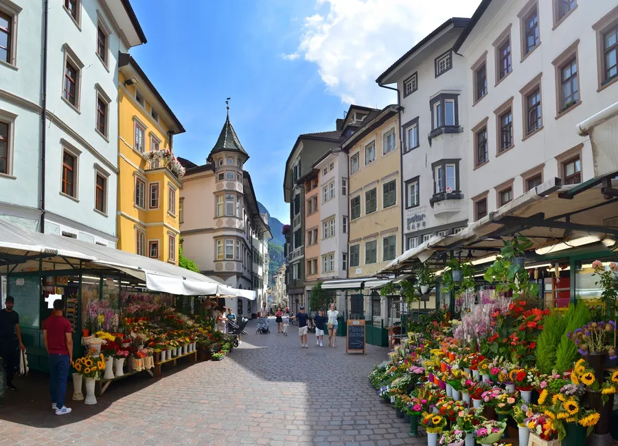 Bolzano panorama – palme i Dolomiti