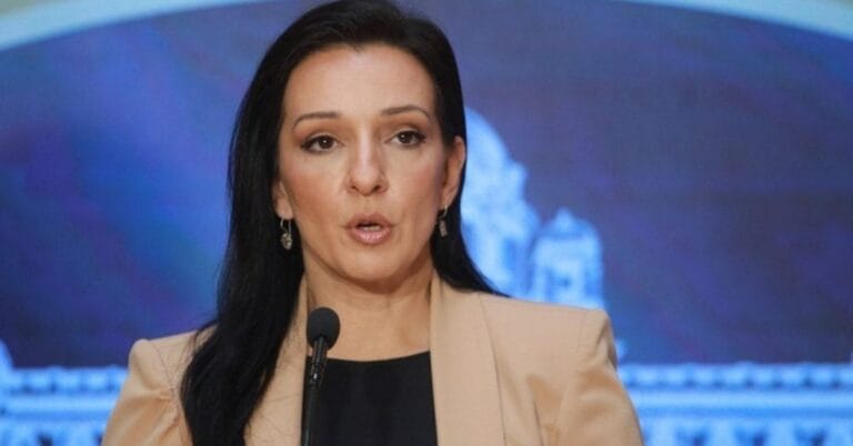 Marinika Tepić tehnička vlada izbori 2025, screenshot iz videa N1