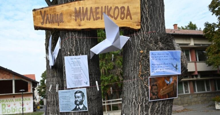 Ulica Milenkova Jovan Grčić Milenko Beočin – tabla i stihovi na drvetu“