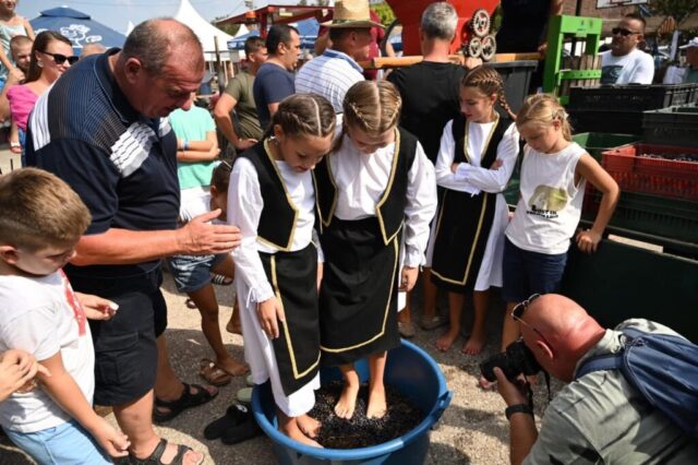 „Deca učestvuju u tradicionalnom gaženju grožđa na Banostorskim danima grožđa 2025“