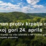Fruška gora šuma u proleće – izletišta i priroda pred tretman protiv krpelja AI ilustracija