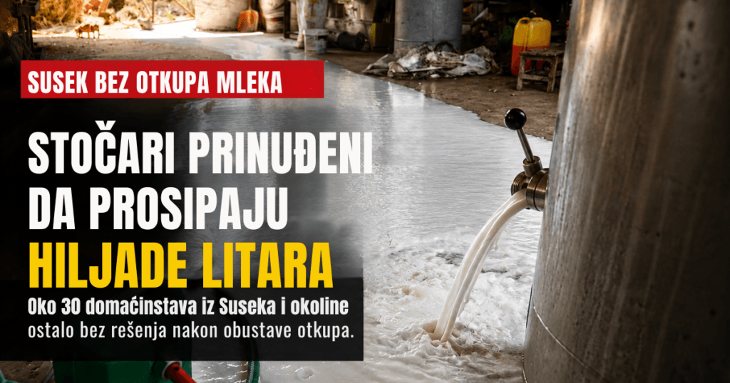 Stočari iz Suseka i okoline prosipaju mleko nakon obustave otkupa.