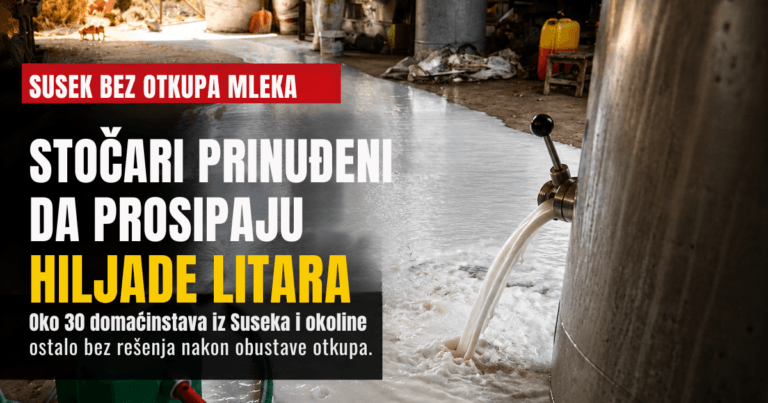 Stočari iz Suseka i okoline prosipaju mleko nakon obustave otkupa.