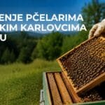 AI ilustracija pčelara pored košnice – upozorenje pčelarima u Beočinu i Sremskim Karlovcima zbog tretmana protiv komaraca