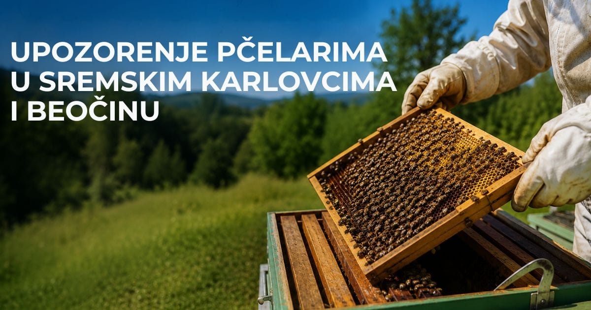AI ilustracija pčelara pored košnice – upozorenje pčelarima u Beočinu i Sremskim Karlovcima zbog tretmana protiv komaraca