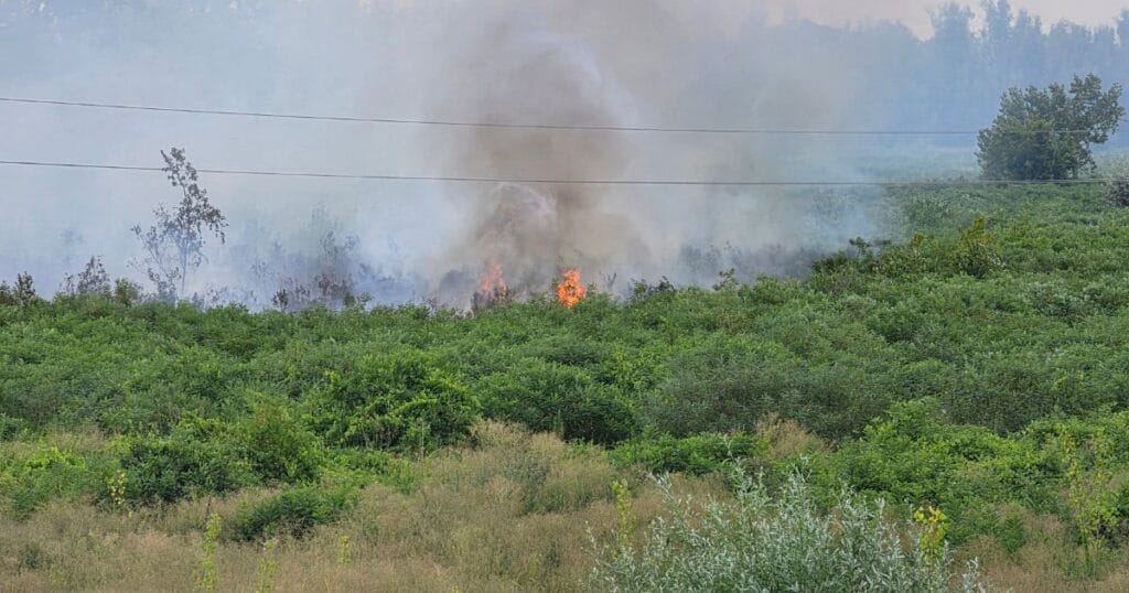 Otvoreni plamen i dim u niskom rastinju Beočinskog rita