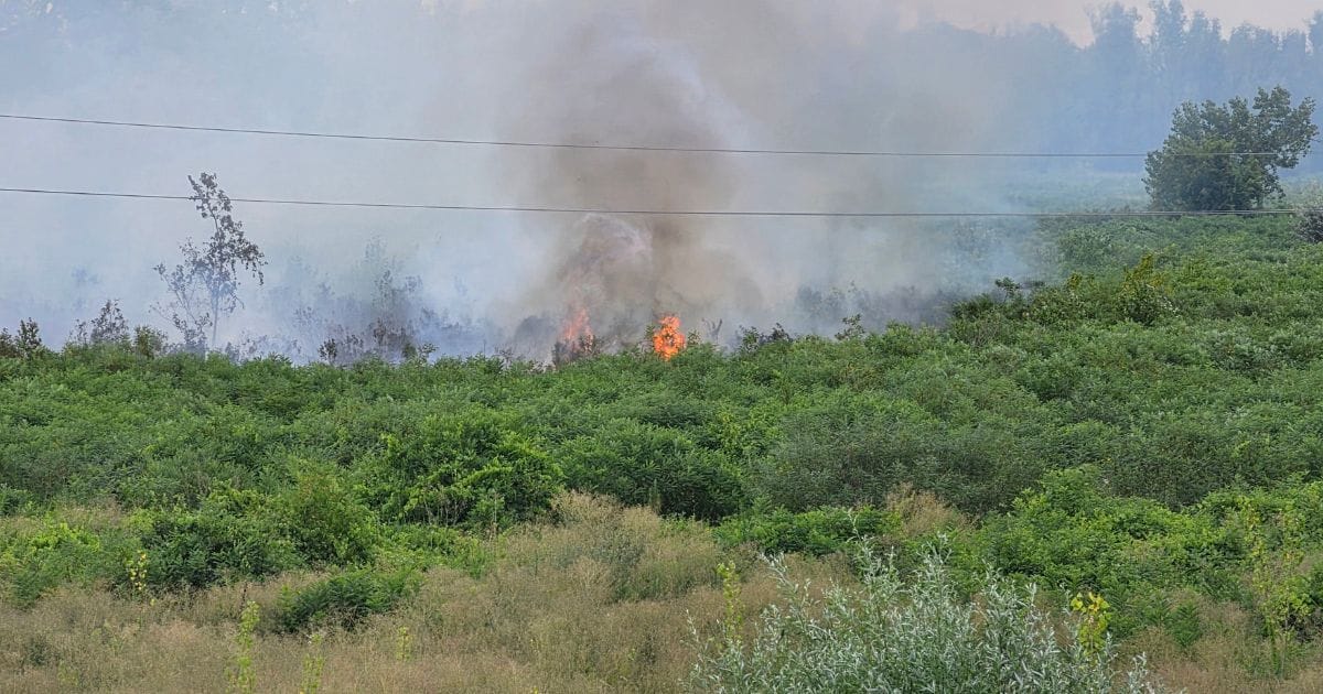 Otvoreni plamen i dim u niskom rastinju Beočinskog rita
